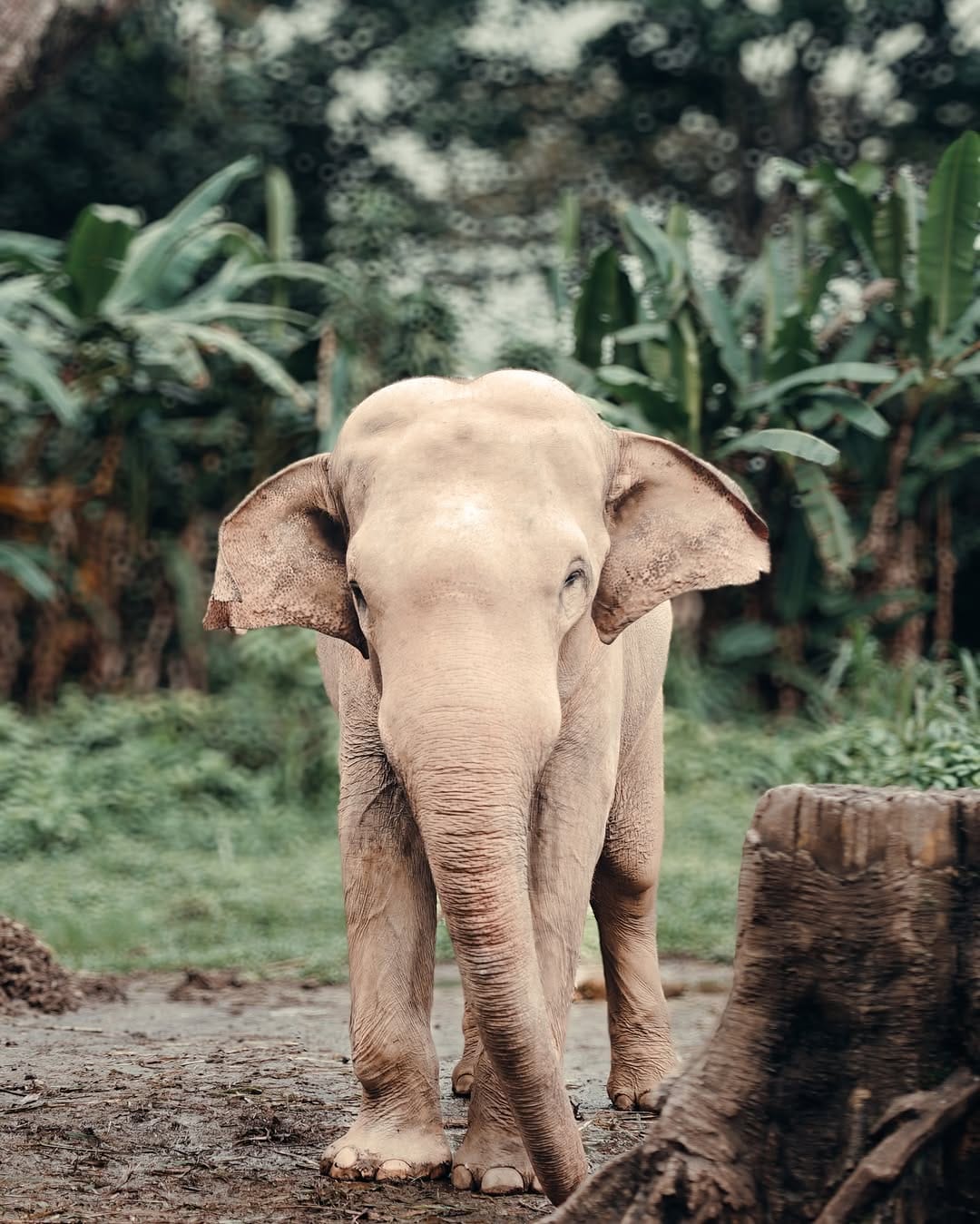 Post 7 by Awi Deskabelly | Indonesian Photographer on Instagram (carousel)
