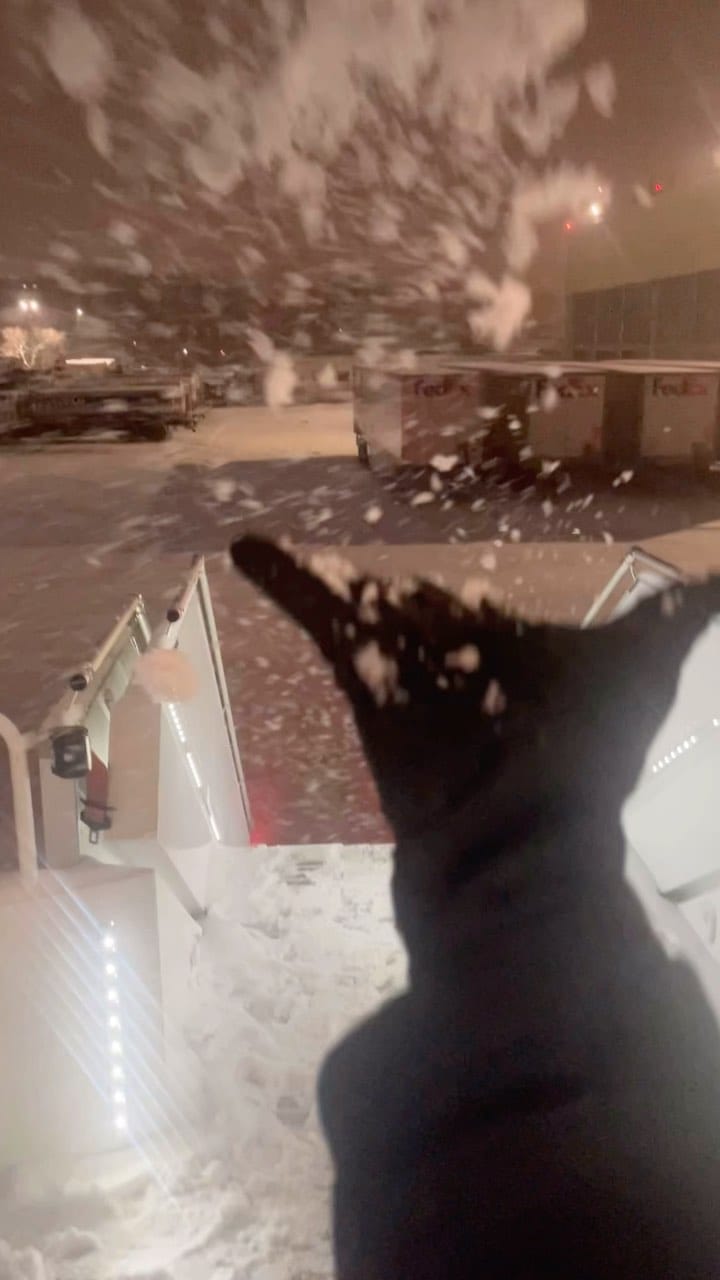 Post 7 by NESHEÉ NIKKIA on Instagram (video)