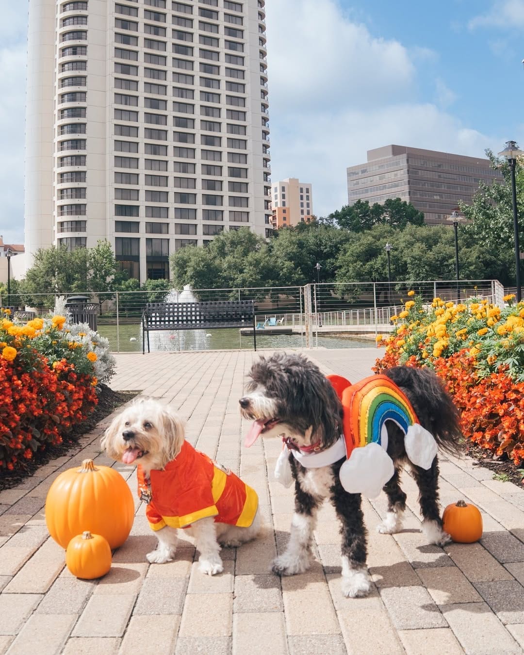 Post 5 by Stephanie Kaye☆ Dallas Blogger on Instagram (carousel)