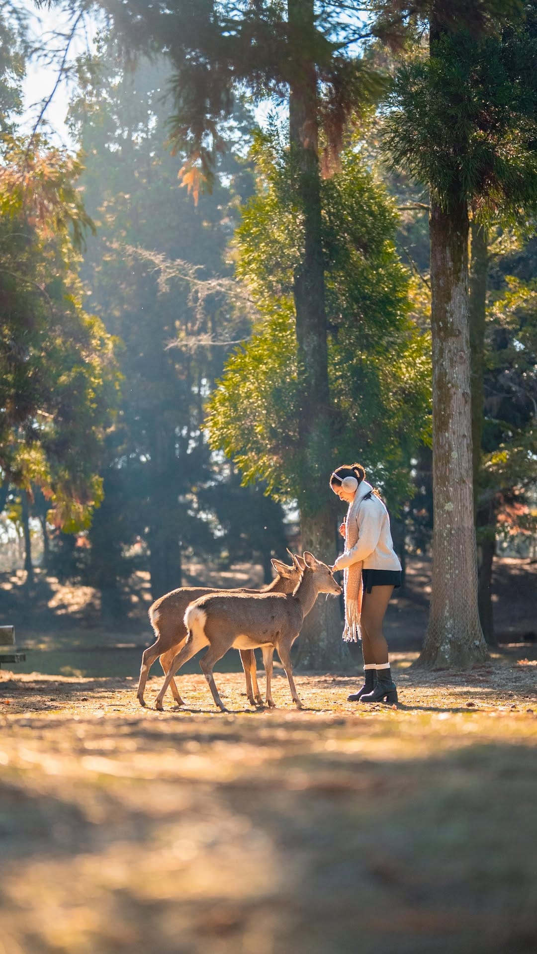 Post 9 by Michi Gutierrez | Travel on Instagram (video)