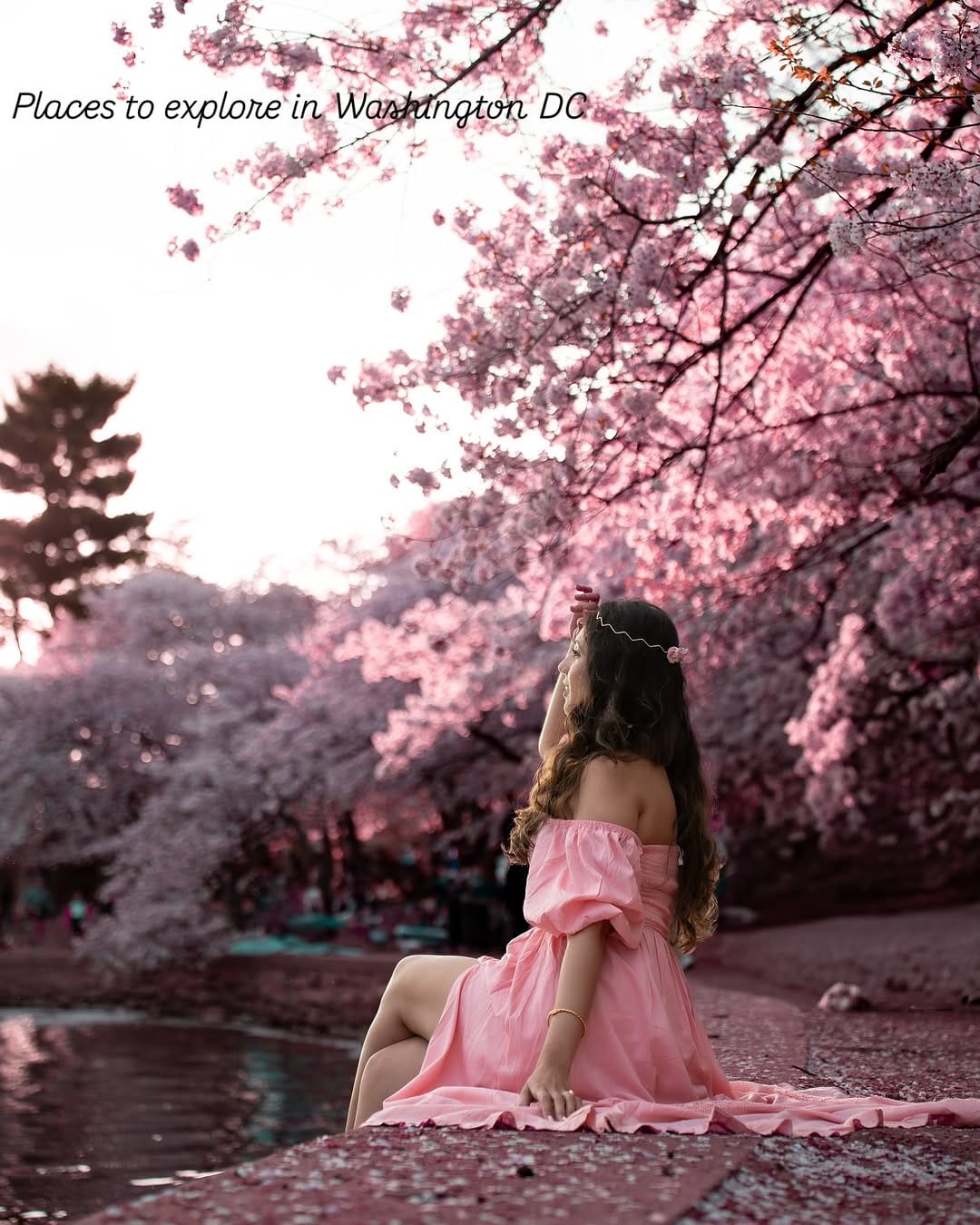 Post 9 by Nandini Chakrabarti | Florida| Dreamy Travel |Fashion on Instagram (carousel)