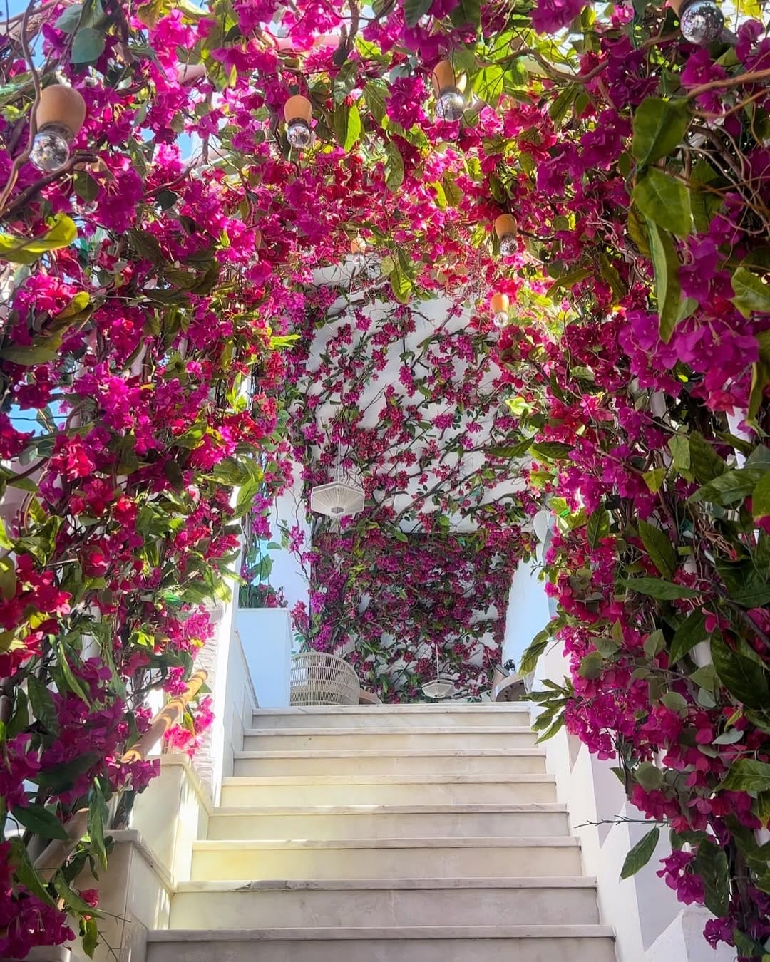 Post 10 by Brooke | Travel • Cruising • Dining on Instagram (image)