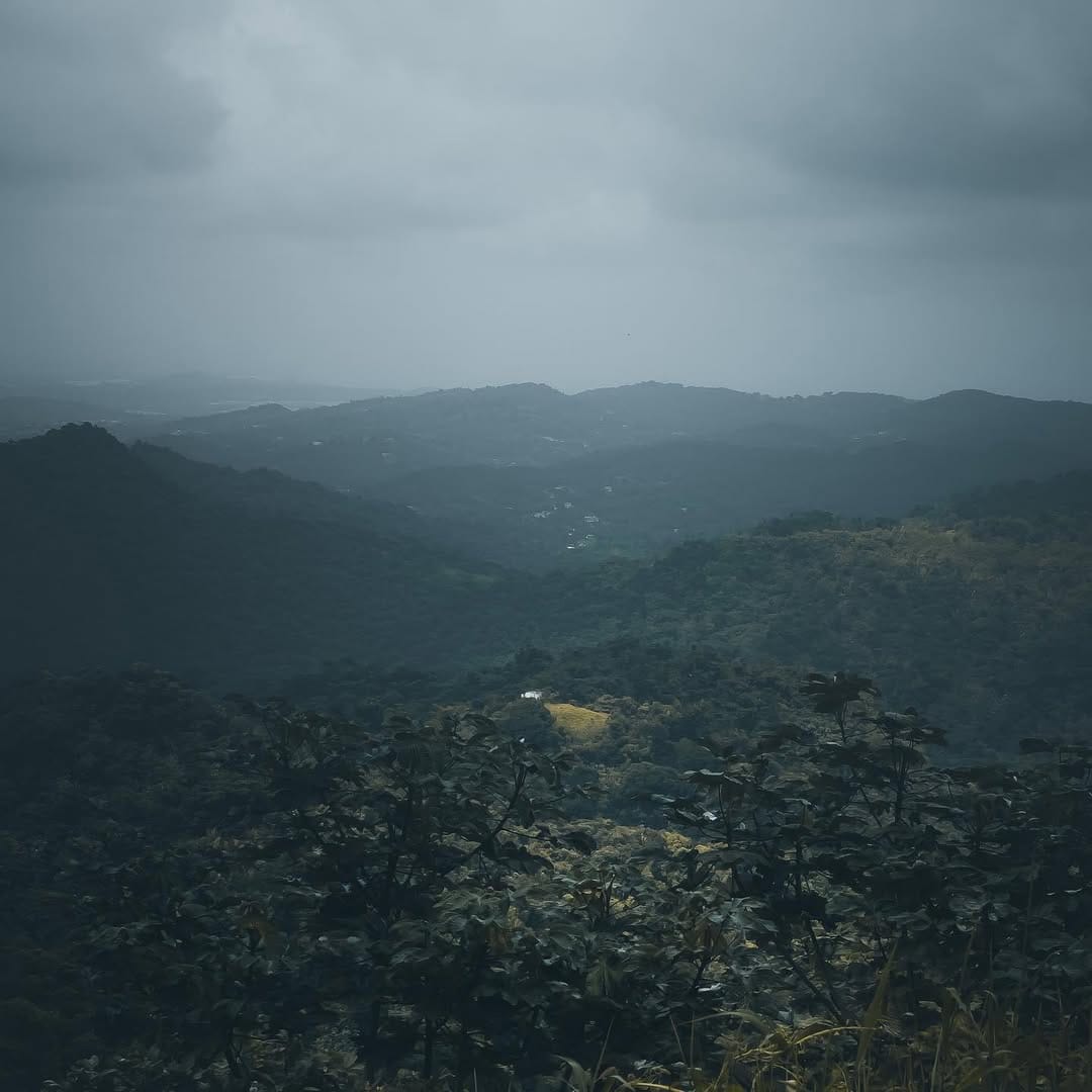 Post 5 by Amro Elsayed (Amr Elawady) on Instagram (image)
