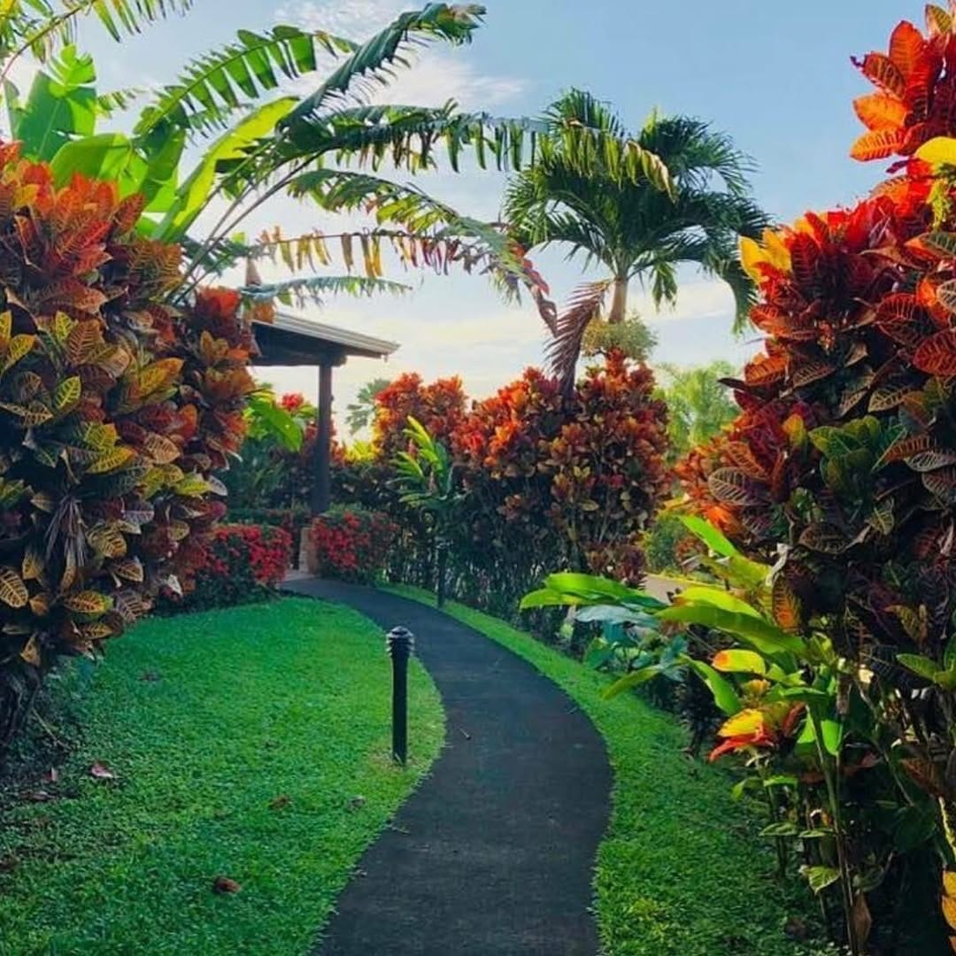 Post 7 by Ashley on Instagram (image)