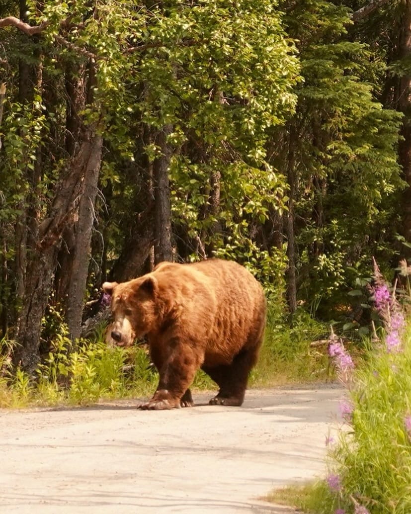 Post 2 by ERIC & MYRIAN/VAN TRAVEL+HIKE on Instagram (image)