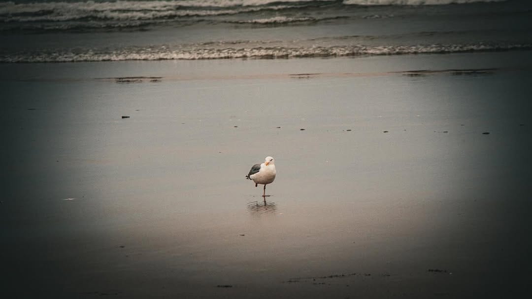 Post 7 by Coco | Nature & Travel Photographer on Instagram (image)