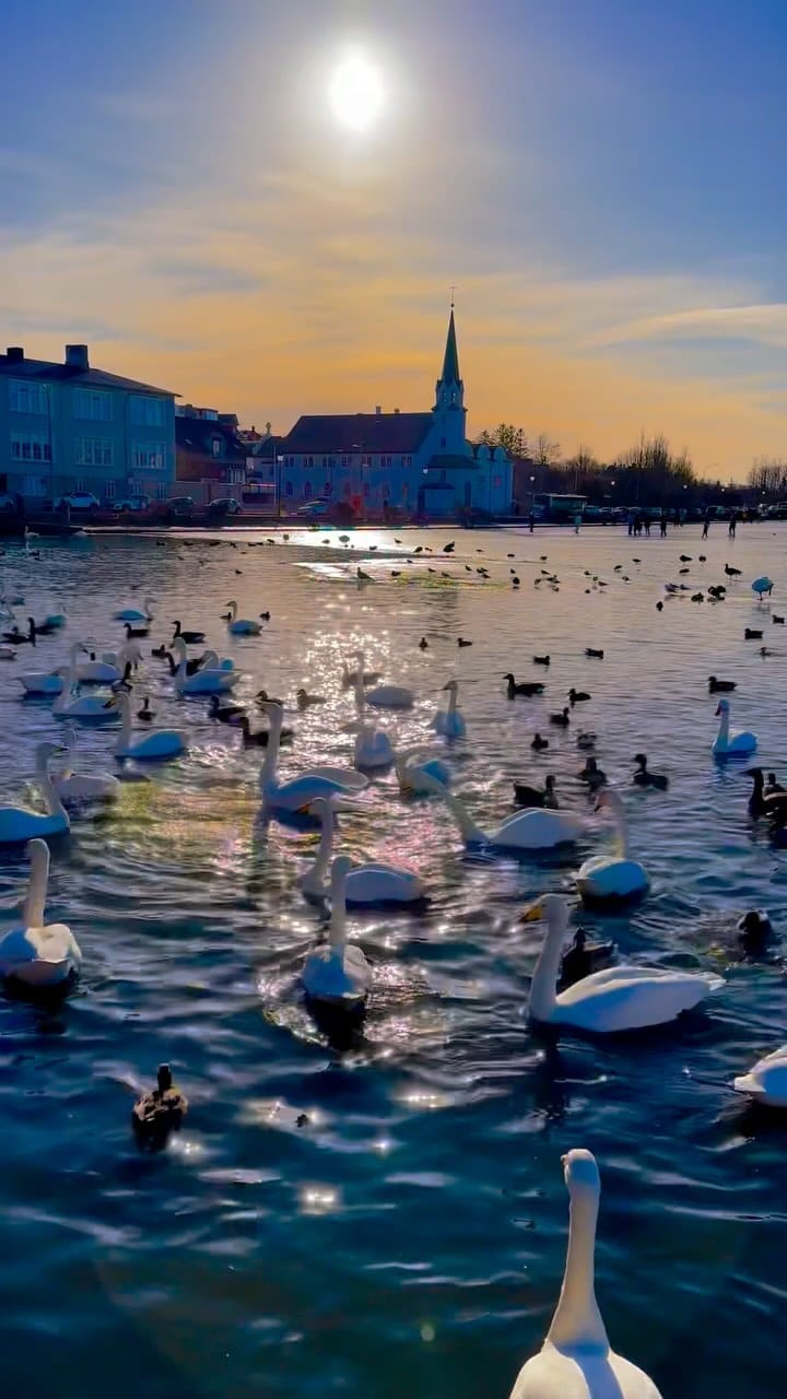 Post 10 by Jess | Travel/Content Creator on Instagram (video)