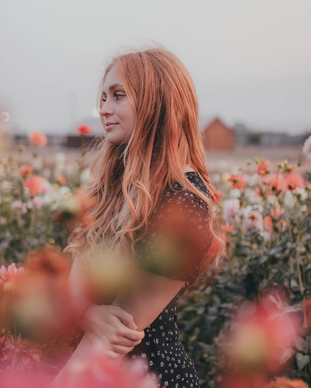 Post 8 by Stella Rose on Instagram (carousel)