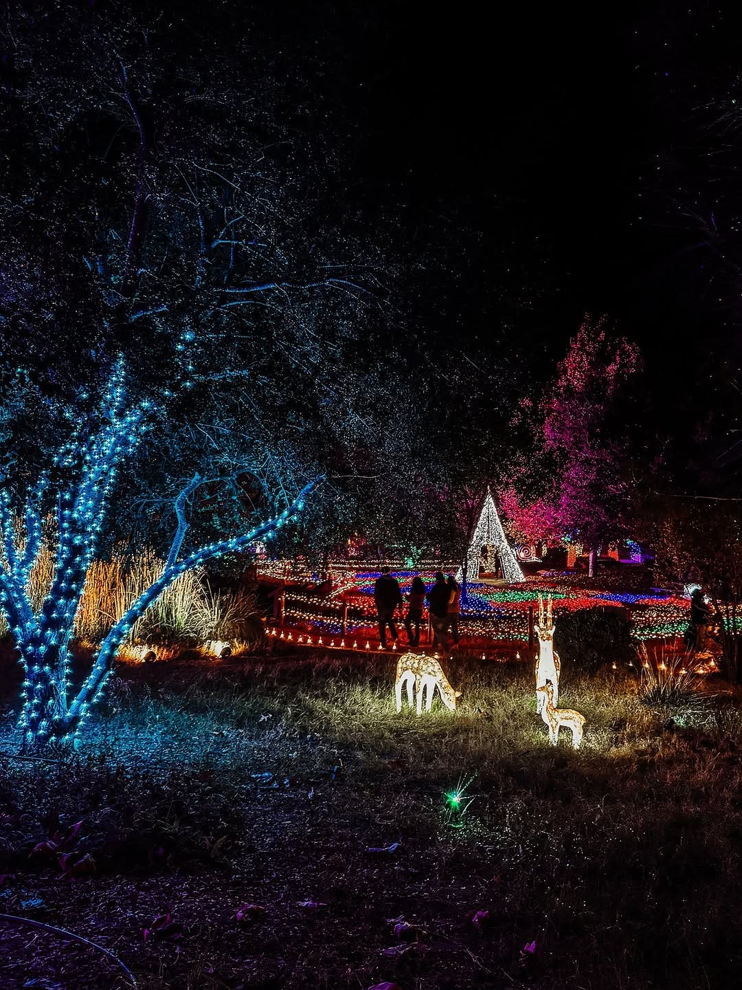 Post 10 by Explore the 805 | CA | Travel & Food | with Celina on Instagram (carousel)