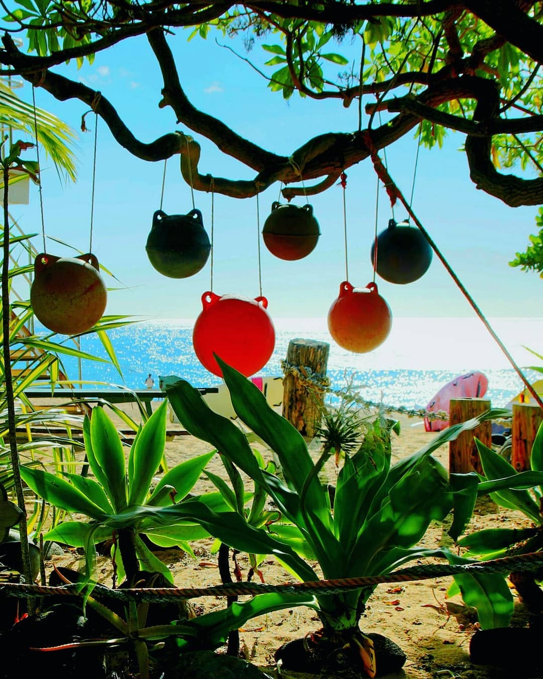 Post 9 by @kailua_sakurada on Instagram (image)