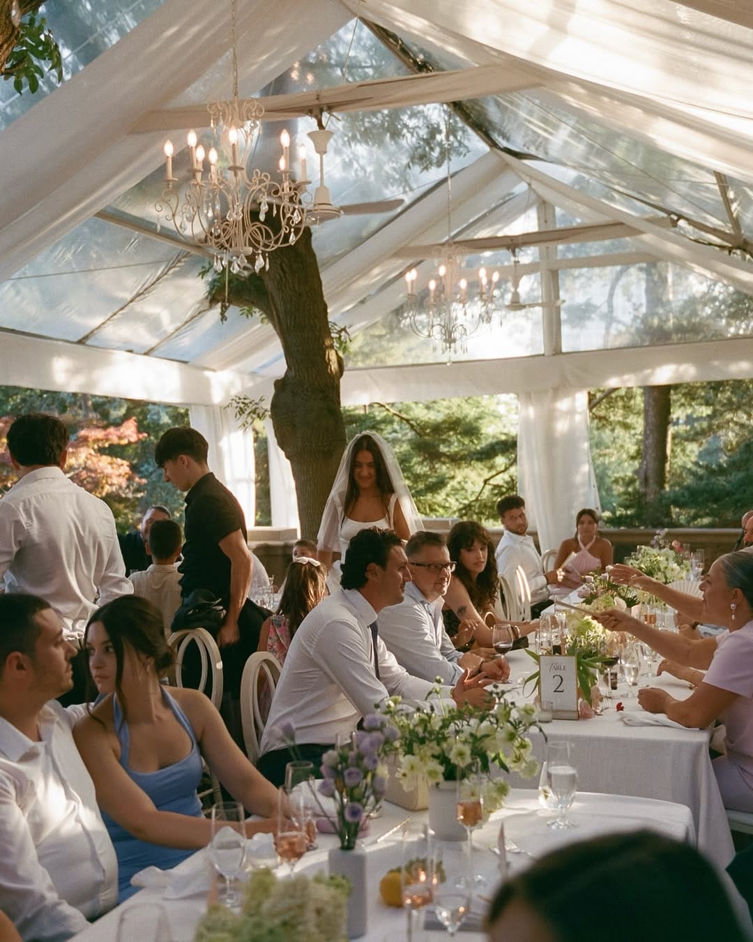 Post 7 by Cara • Toronto + Italy Wedding Photographer on Instagram (carousel)