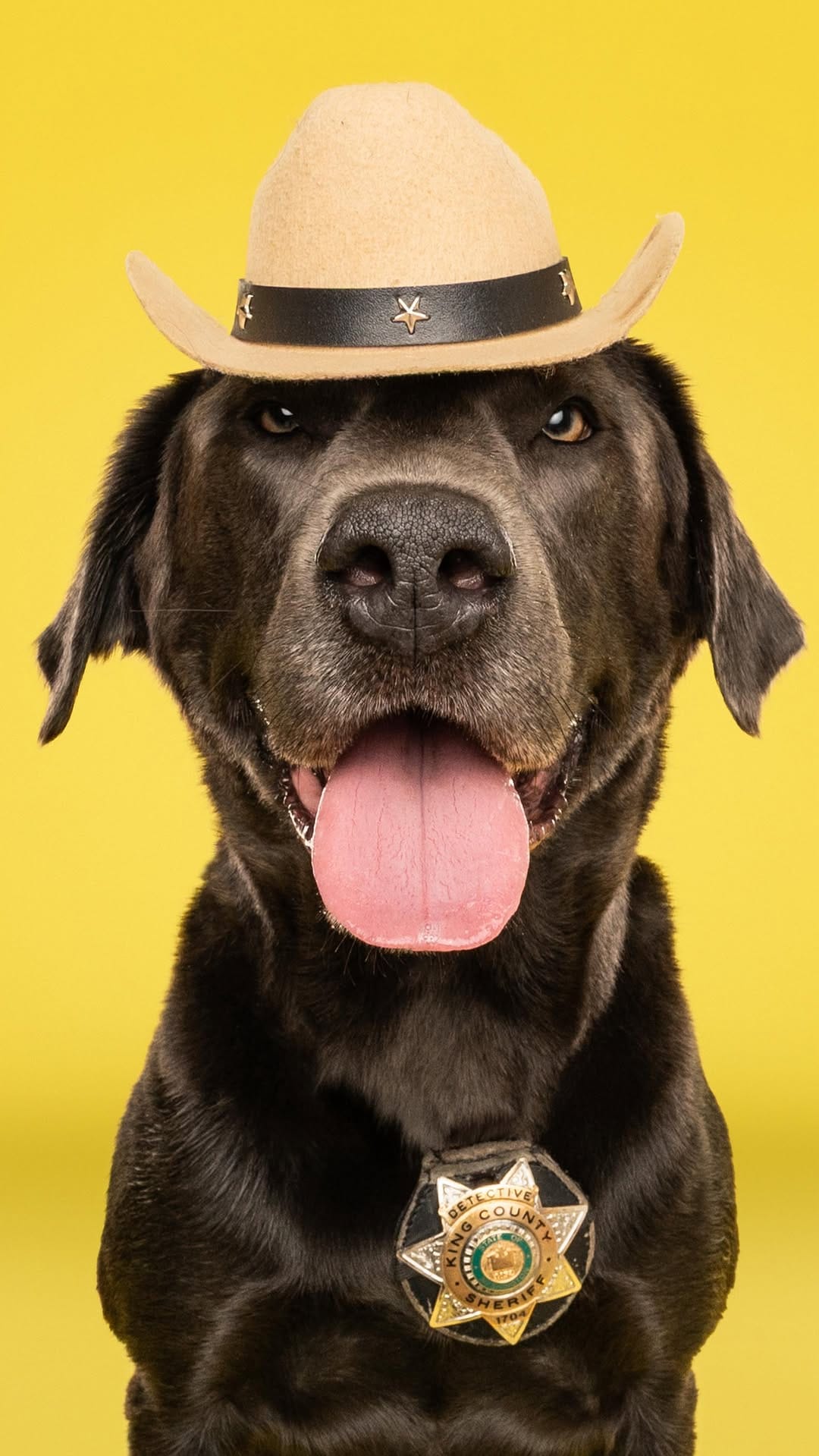 Post 5 by Squeaky Dog Studios on Instagram (video)