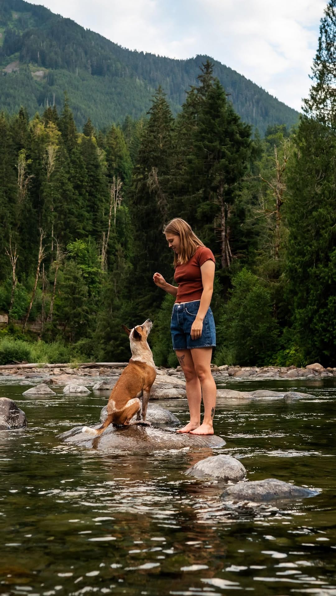 Post 8 by Squeaky Dog Studios on Instagram (video)