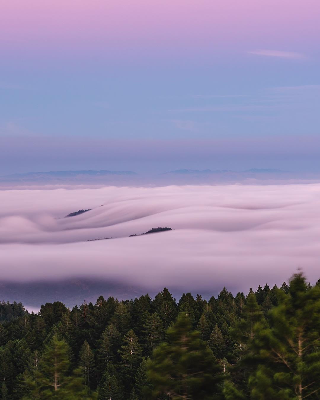 Post 5 by Cliff Wang on Instagram (image)