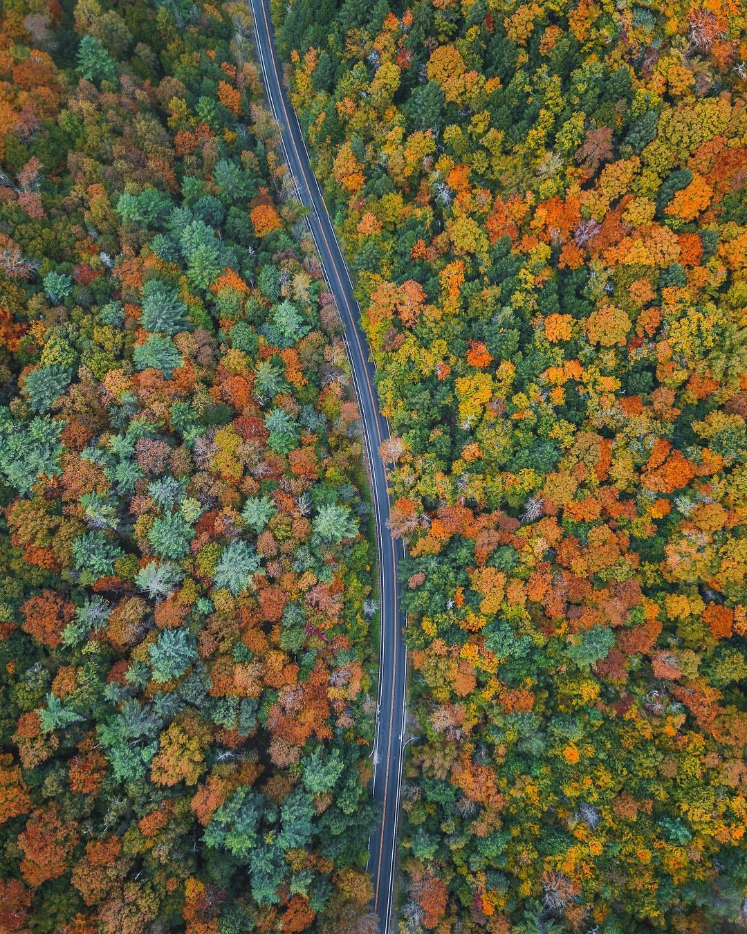 Post 4 by Cliff Wang on Instagram (image)