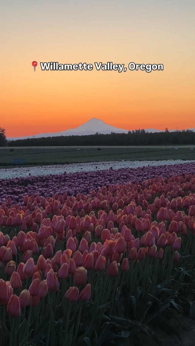 Post 1 by Bucket List Travel | Emily Hansen on Instagram (video)