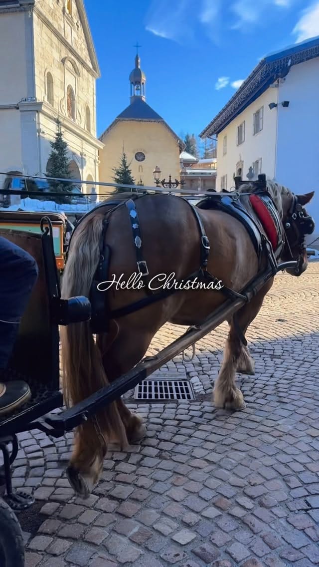 Post 6 by Timofey & Natalya Drozhzhin on Instagram (video)
