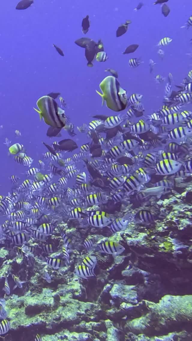Post 2 by Holly Powers on Instagram (video)