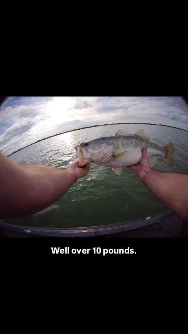 Post 7 by Brody Campbell on Instagram (video)