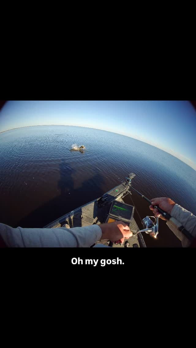 Post 6 by Brody Campbell on Instagram (video)