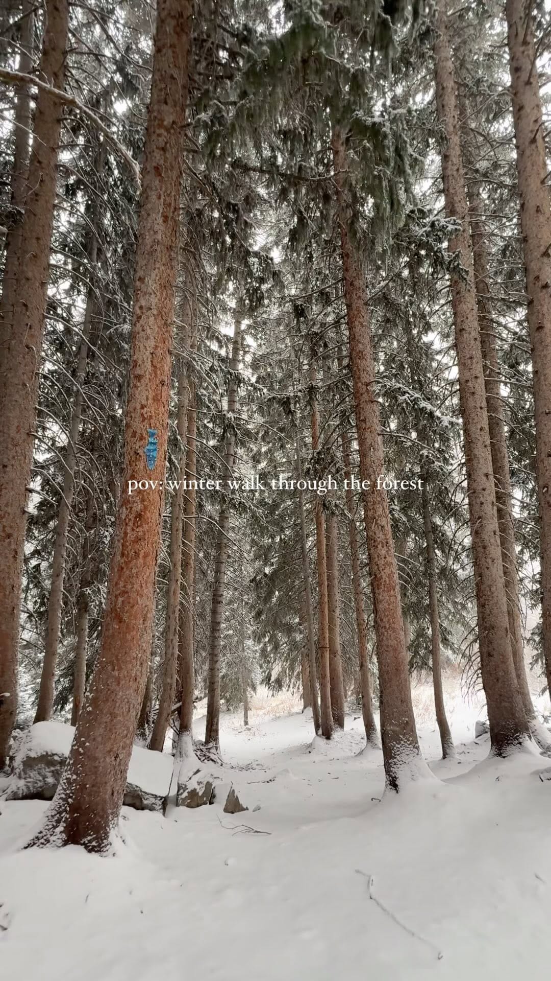 Post 8 by Adventures of A Wandering Soul on Instagram (video)