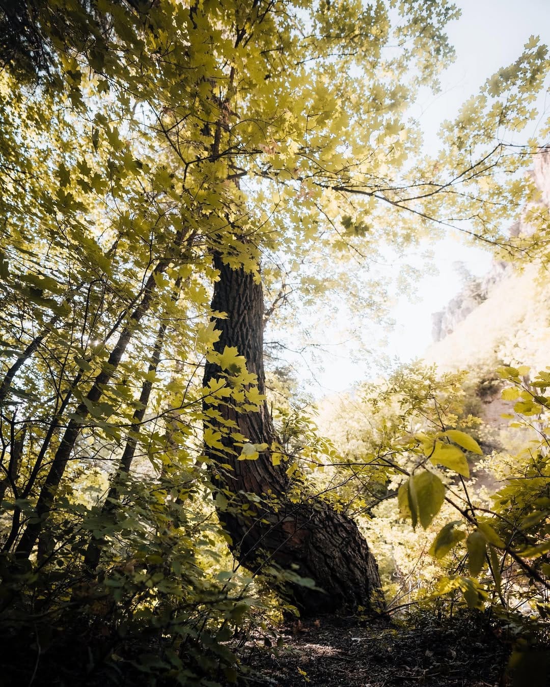 Post 6 by Alex | Travel Photography on Instagram (image)