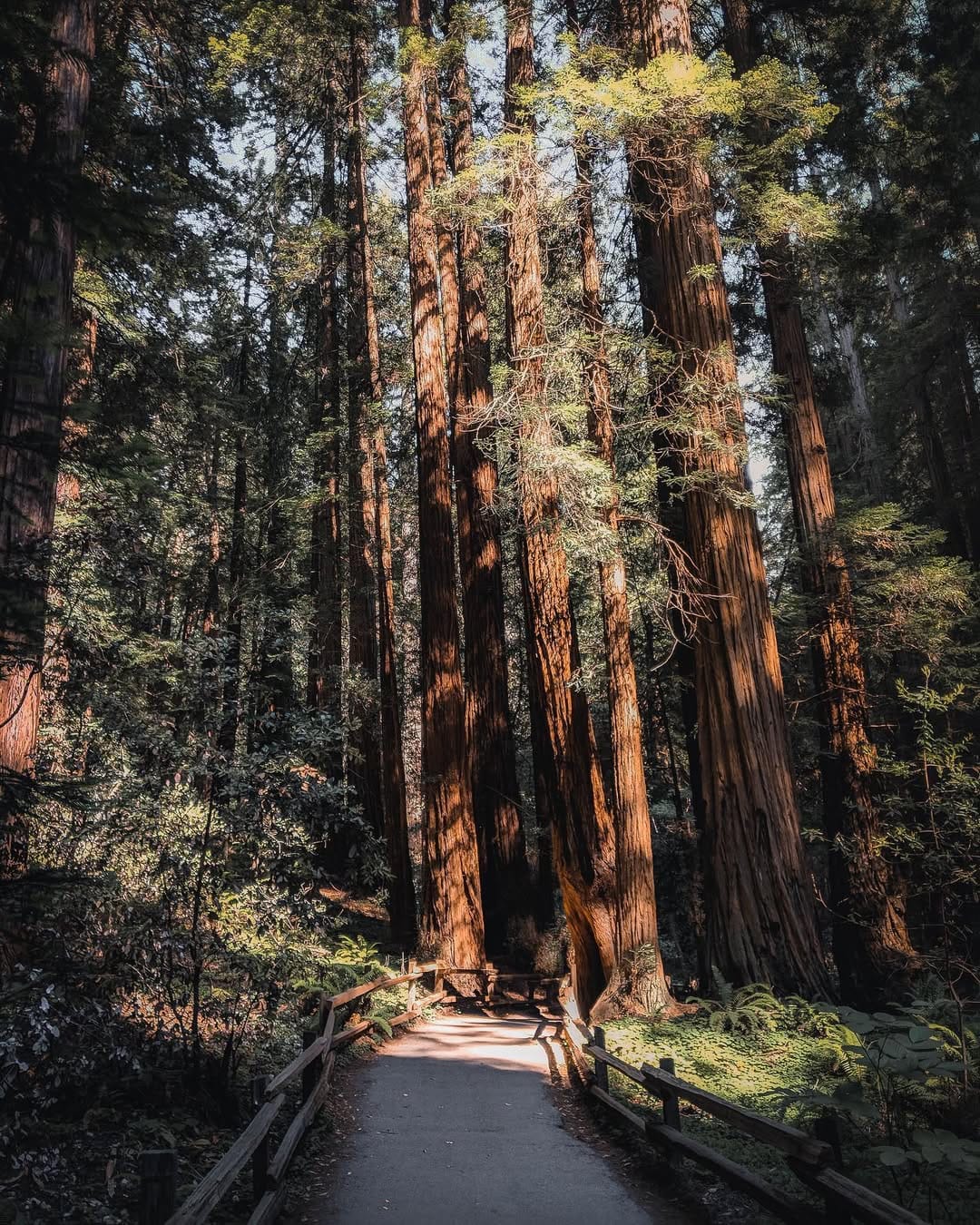 Post 7 by Alex | Travel Photography on Instagram (image)