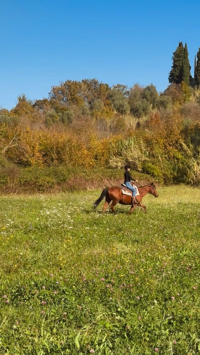 Post 8 by 𝓛𝓮𝓽𝓲𝔃𝓲𝓪 𝔃𝓸𝓬𝓬𝓸⚜️ on Instagram (video)