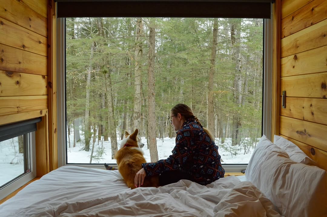 Post 7 by Leia & Brit | Dog-Friendly Travel & Lifestyle on Instagram (image)