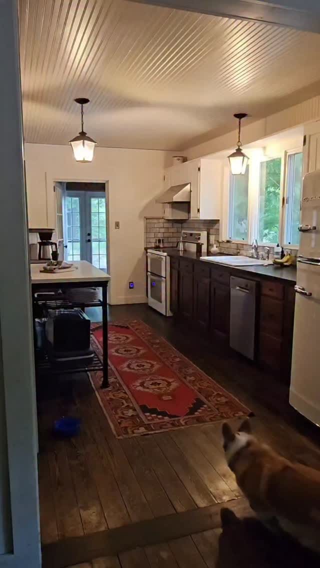 Post 1 by Leia & Brit | Dog-Friendly Travel & Lifestyle on Instagram (video)