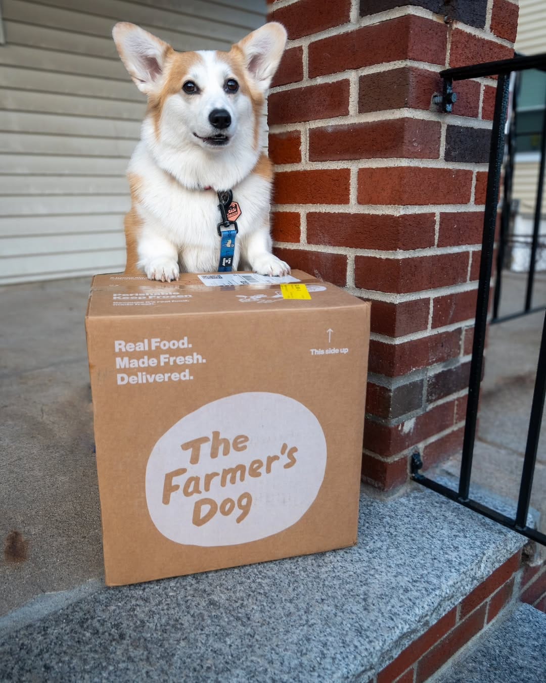 Post 4 by Leia & Brit | Dog-Friendly Travel & Lifestyle on Instagram (carousel)