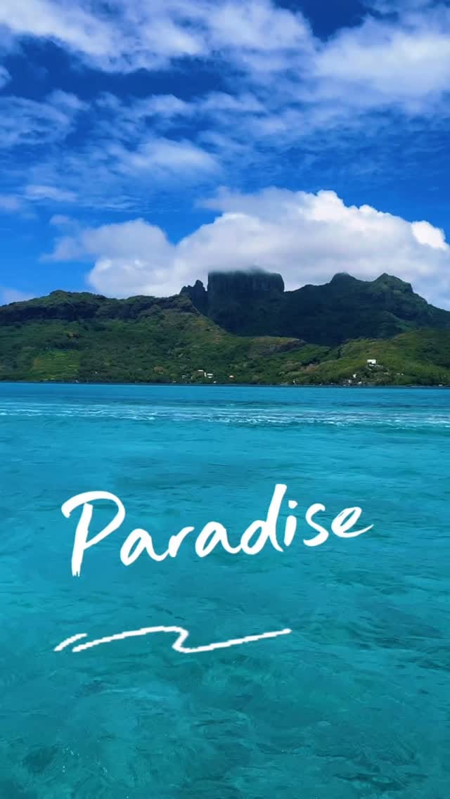Post 4 by MO | TRAVEL | ADVENTURE | SF | CALIFORNIA on Instagram (video)