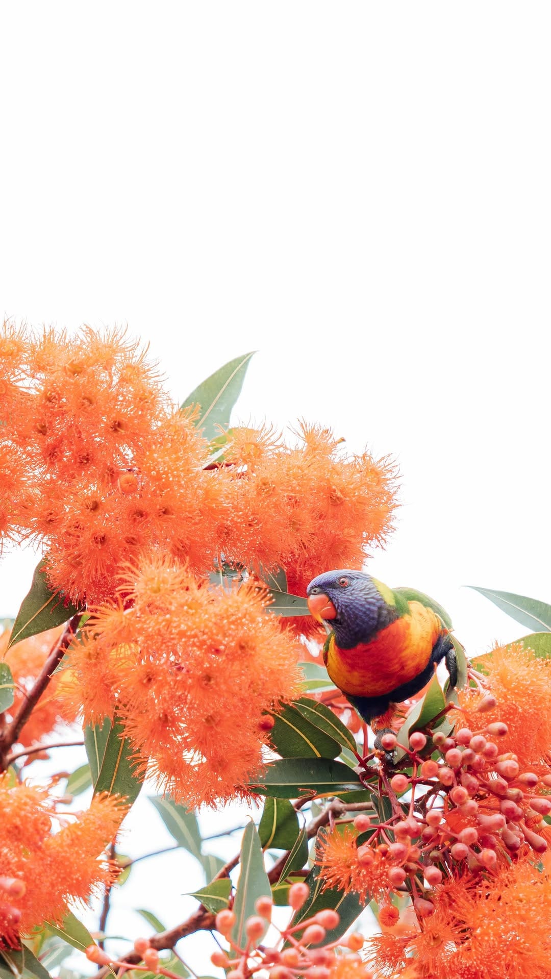Post 6 by Erica Connolly | Travel Photographer on Instagram (video)