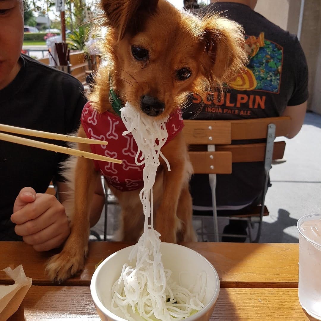Post 10 by Muffin Joy on Instagram (image)
