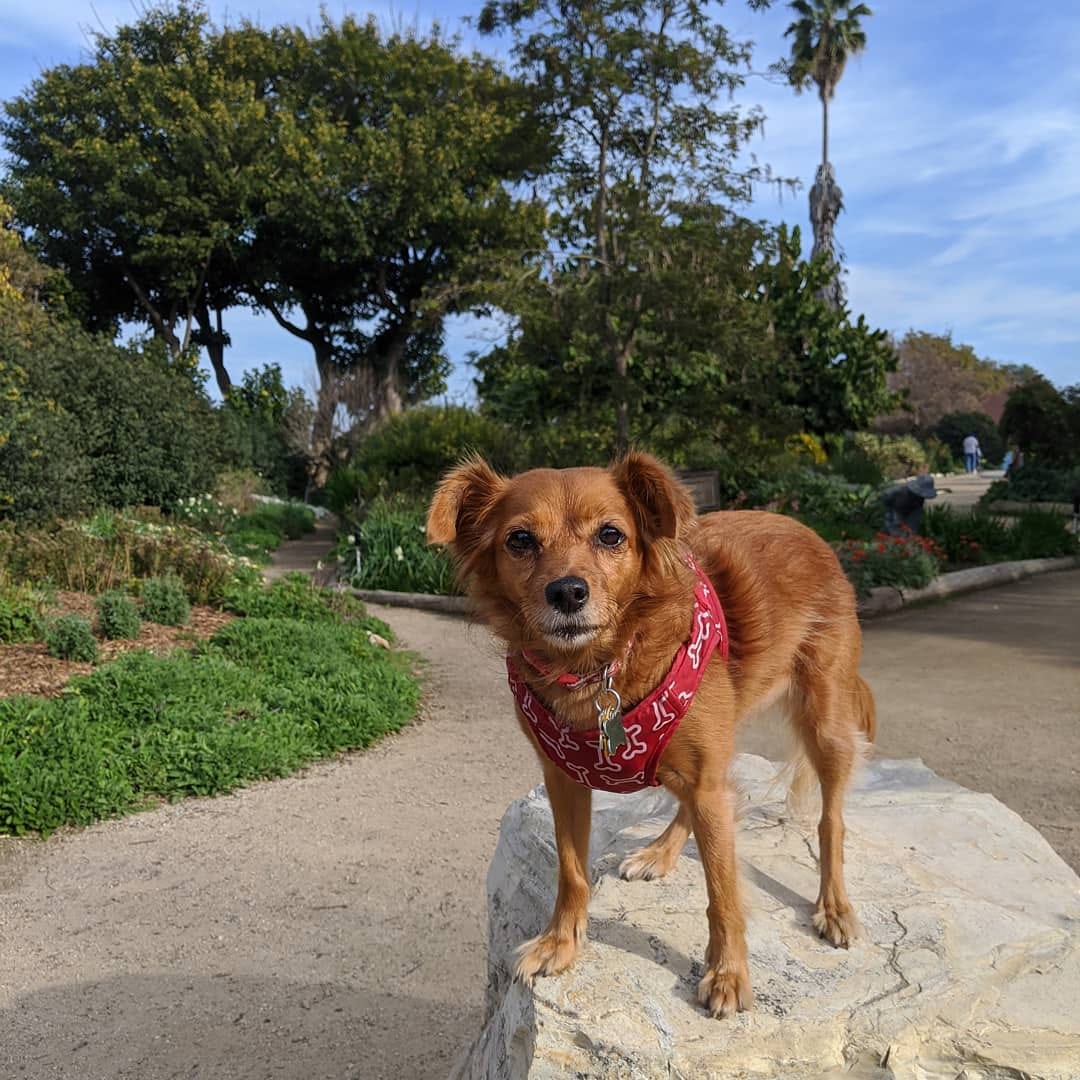 Post 9 by Muffin Joy on Instagram (carousel)