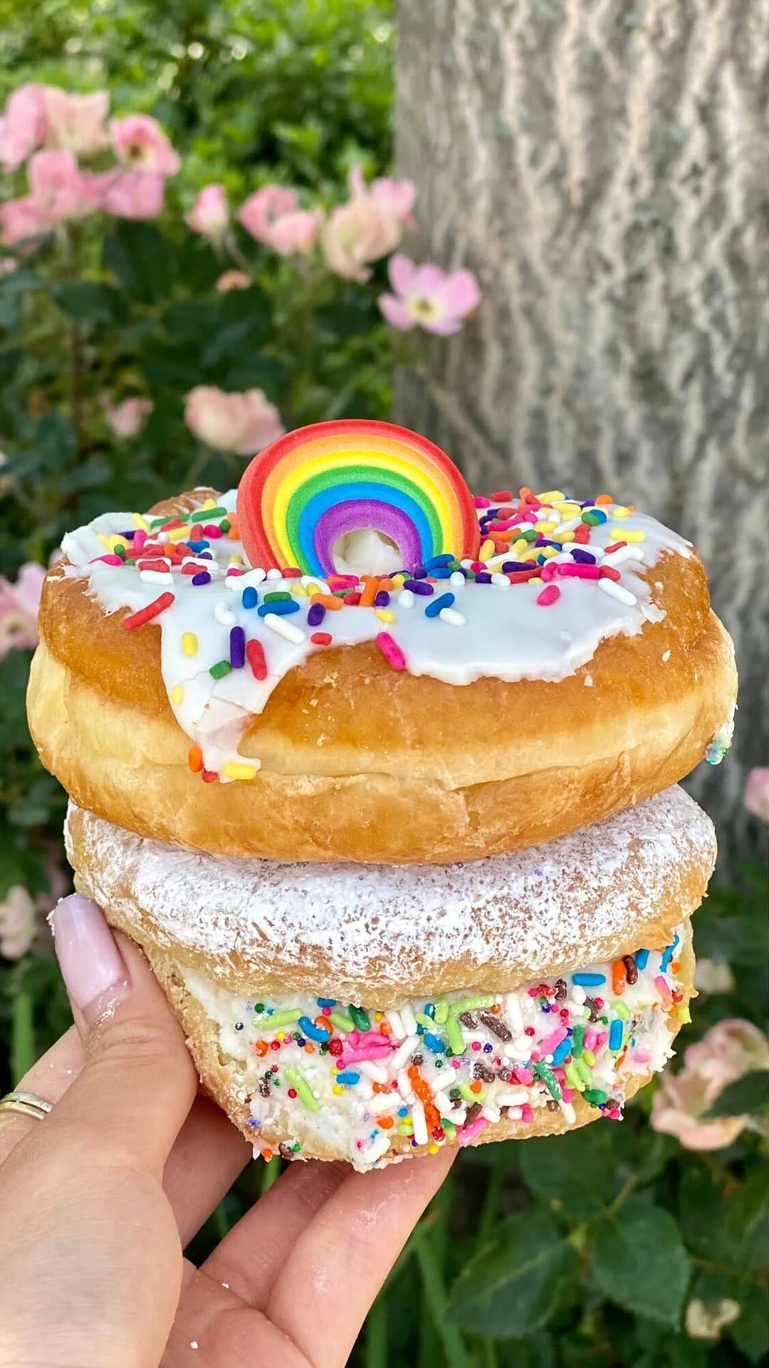 Post 3 by 💖 Food Lover & Photographer on Instagram (video)