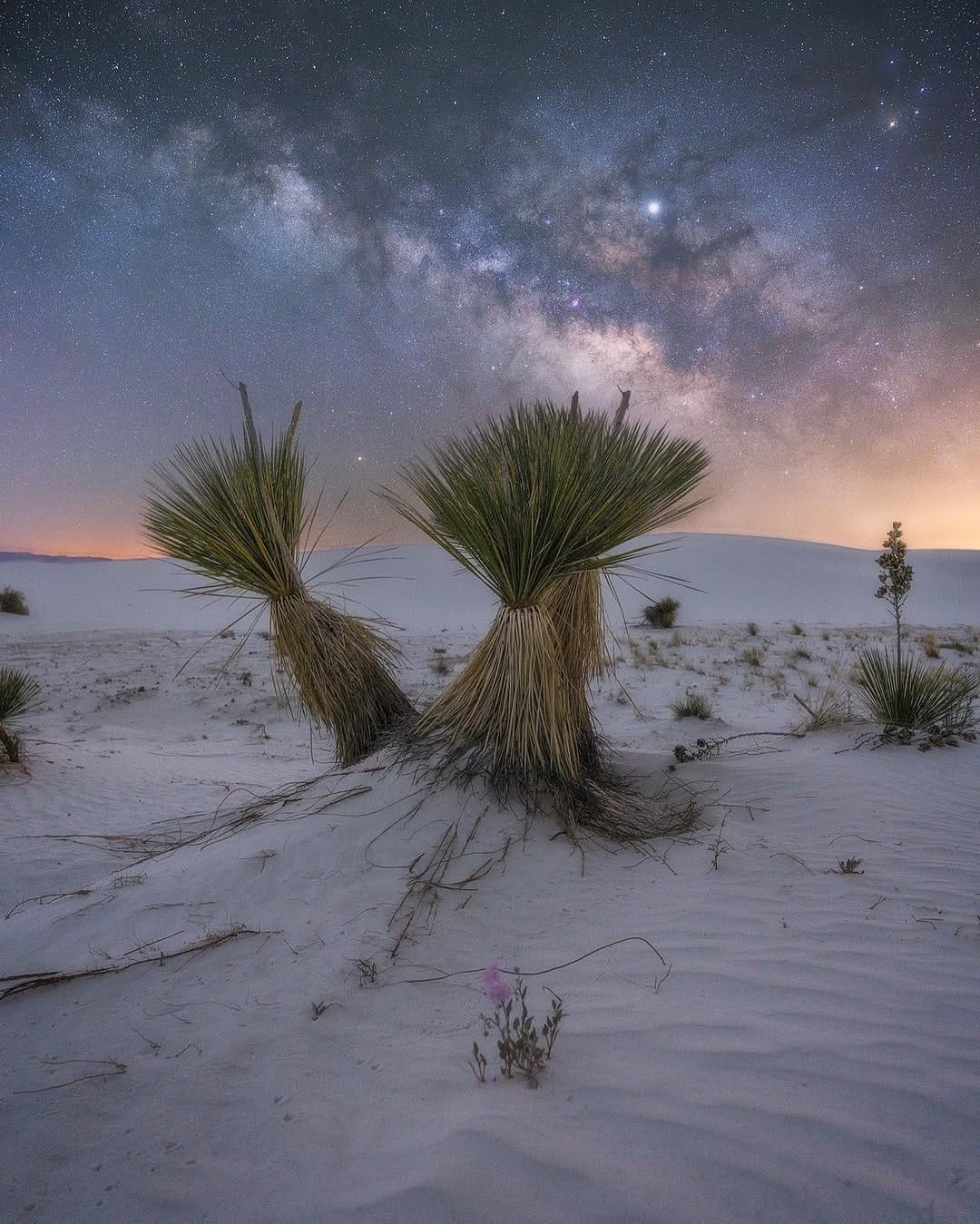 Post 10 by Kevin on Instagram (image)