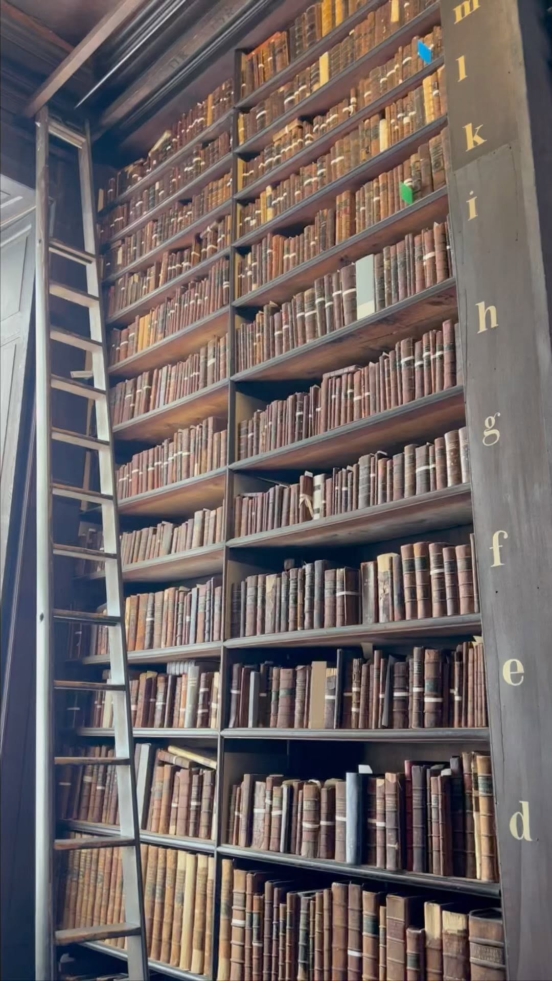 Post 10 by Shannon Grace (bookishshan) on Instagram (video)
