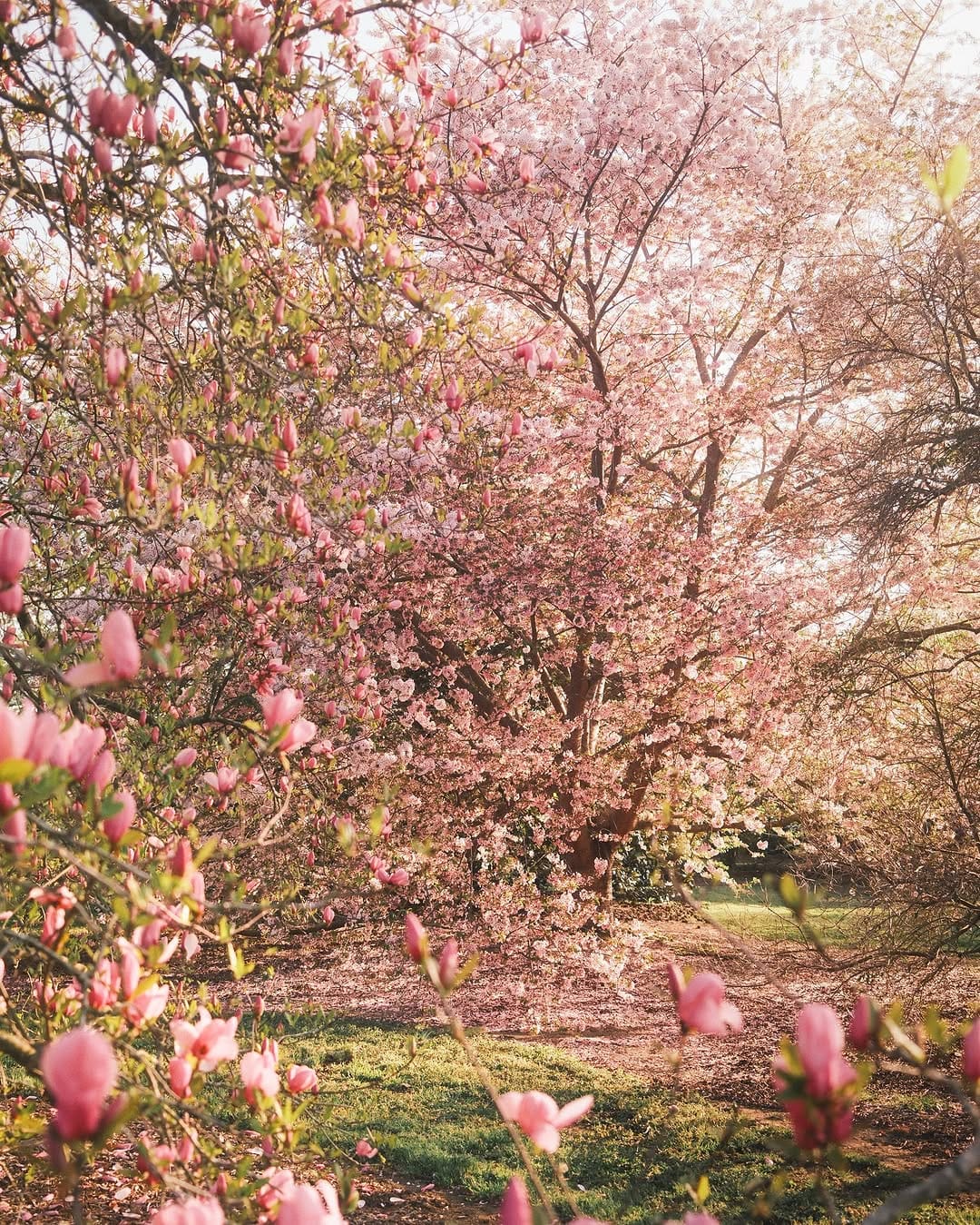 Post 7 by Jade De Guzman • Virginia on Instagram (carousel)