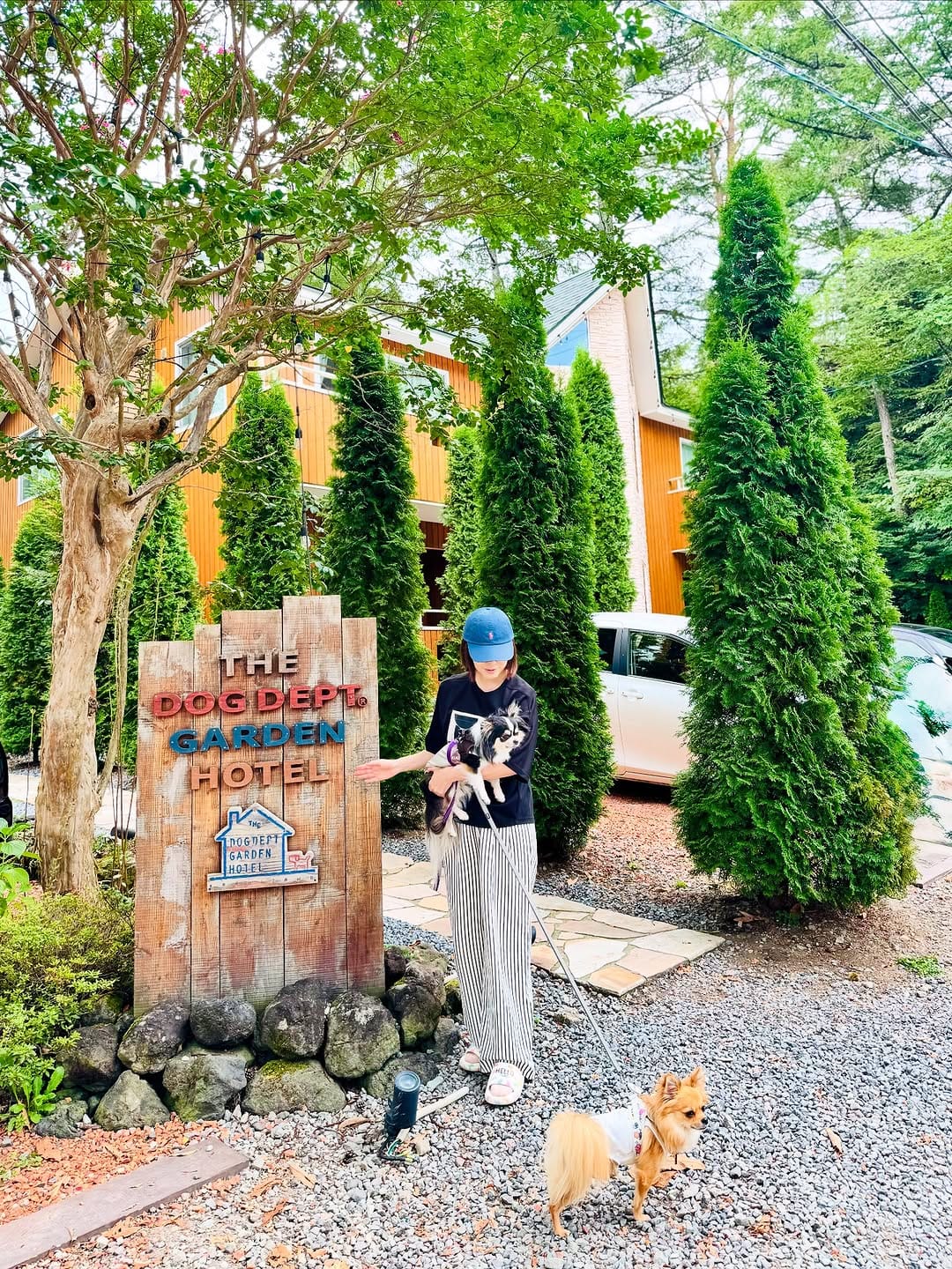 Post 10 by ʏᴜᴍɪɴ グルメな大人旅✈︎スイーツ✈︎コスメで美活❤︎わんことカフェlife on Instagram (carousel)