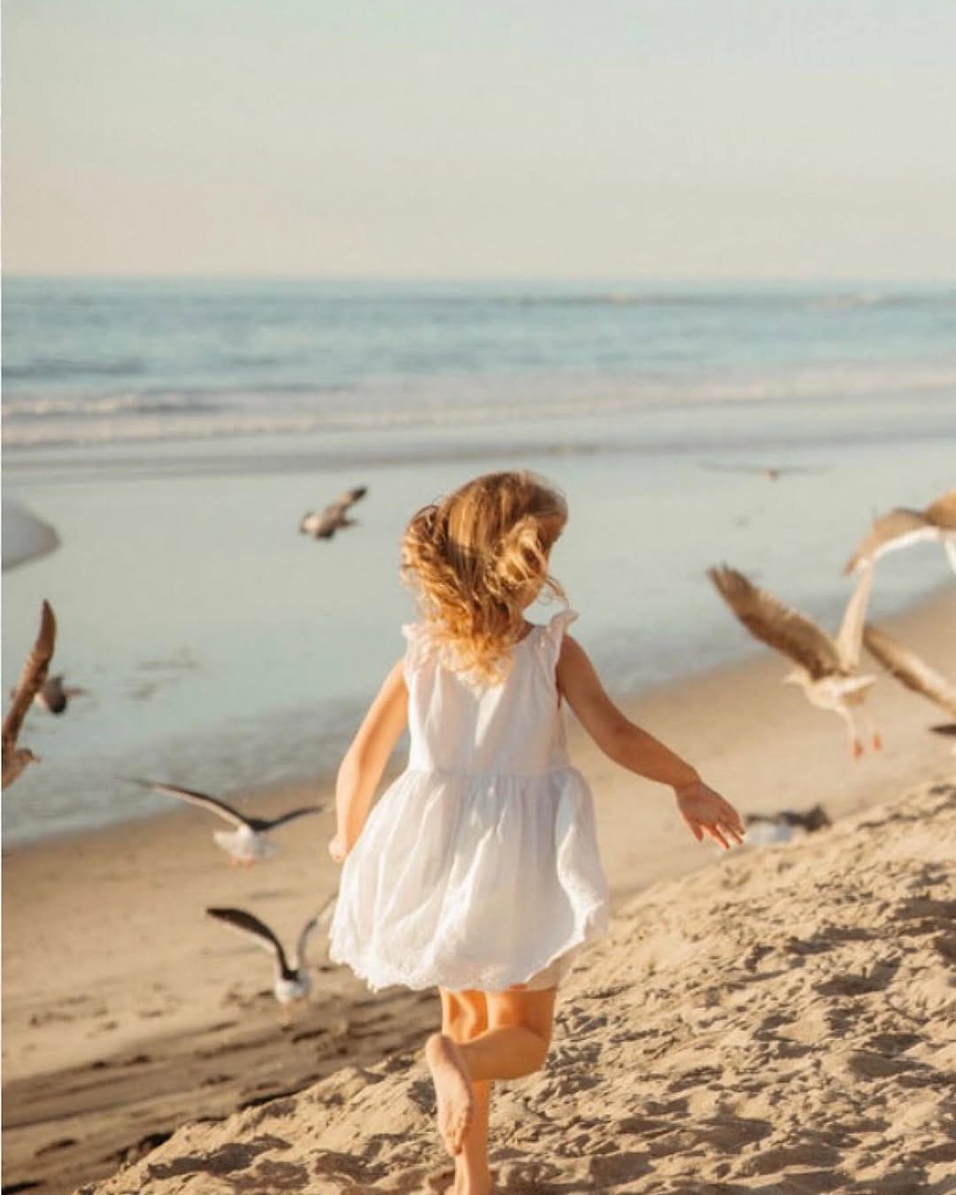Post 3 by San Diego Photographer |  Erica Jones on Instagram (carousel)
