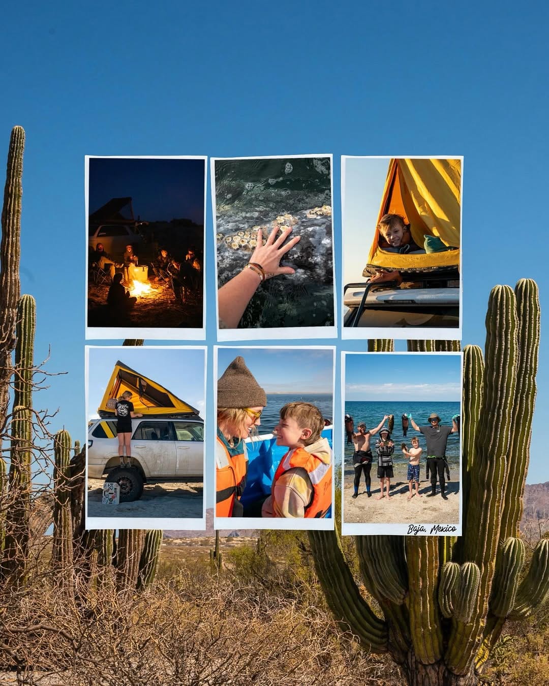 Post 7 by TAYLOR MAY | OVERLAND TRAVEL ADVENTURE on Instagram (carousel)