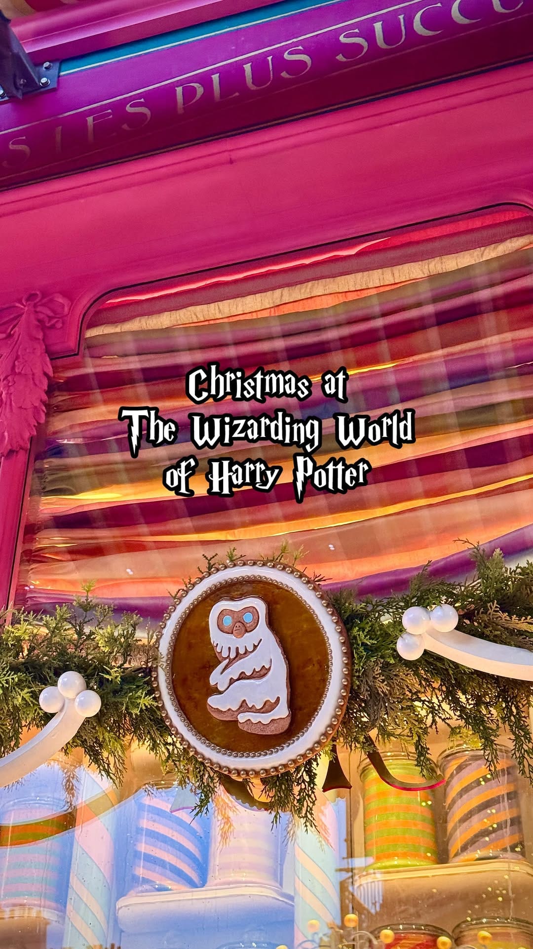 Post 4 by Bailey | Wizarding World⚡️ on Instagram (video)