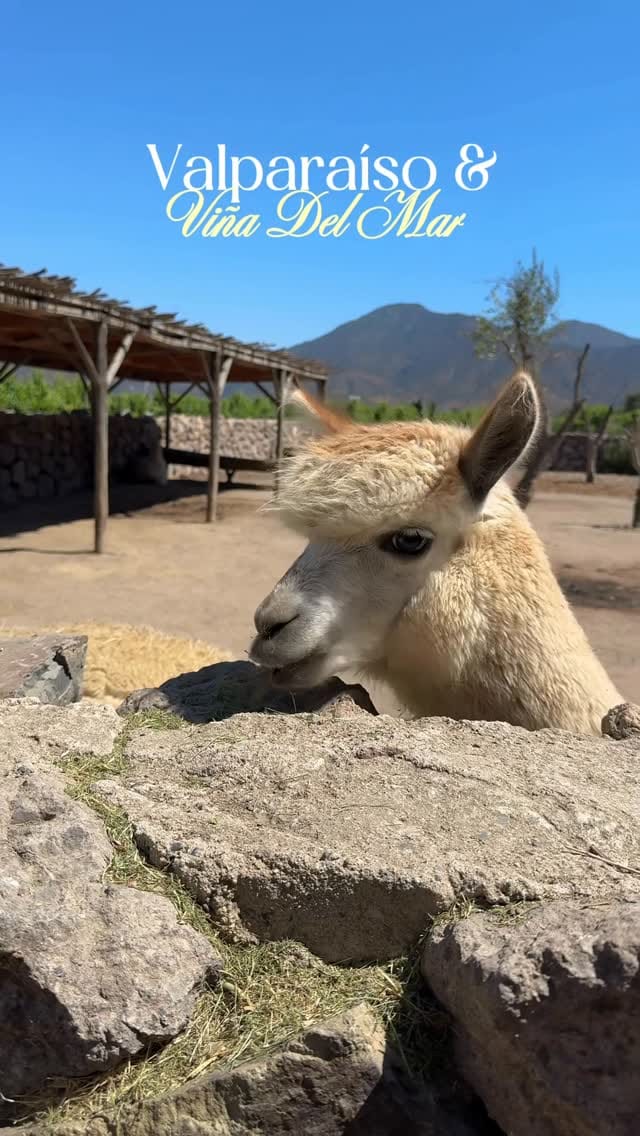 Post 2 by 𝐍𝐈𝐓𝐙𝐀 ᪥ 𝐓𝐫𝐚𝐯𝐞𝐥 + 𝐋𝐢𝐟𝐞𝐬𝐭𝐲𝐥𝐞 on Instagram (video)