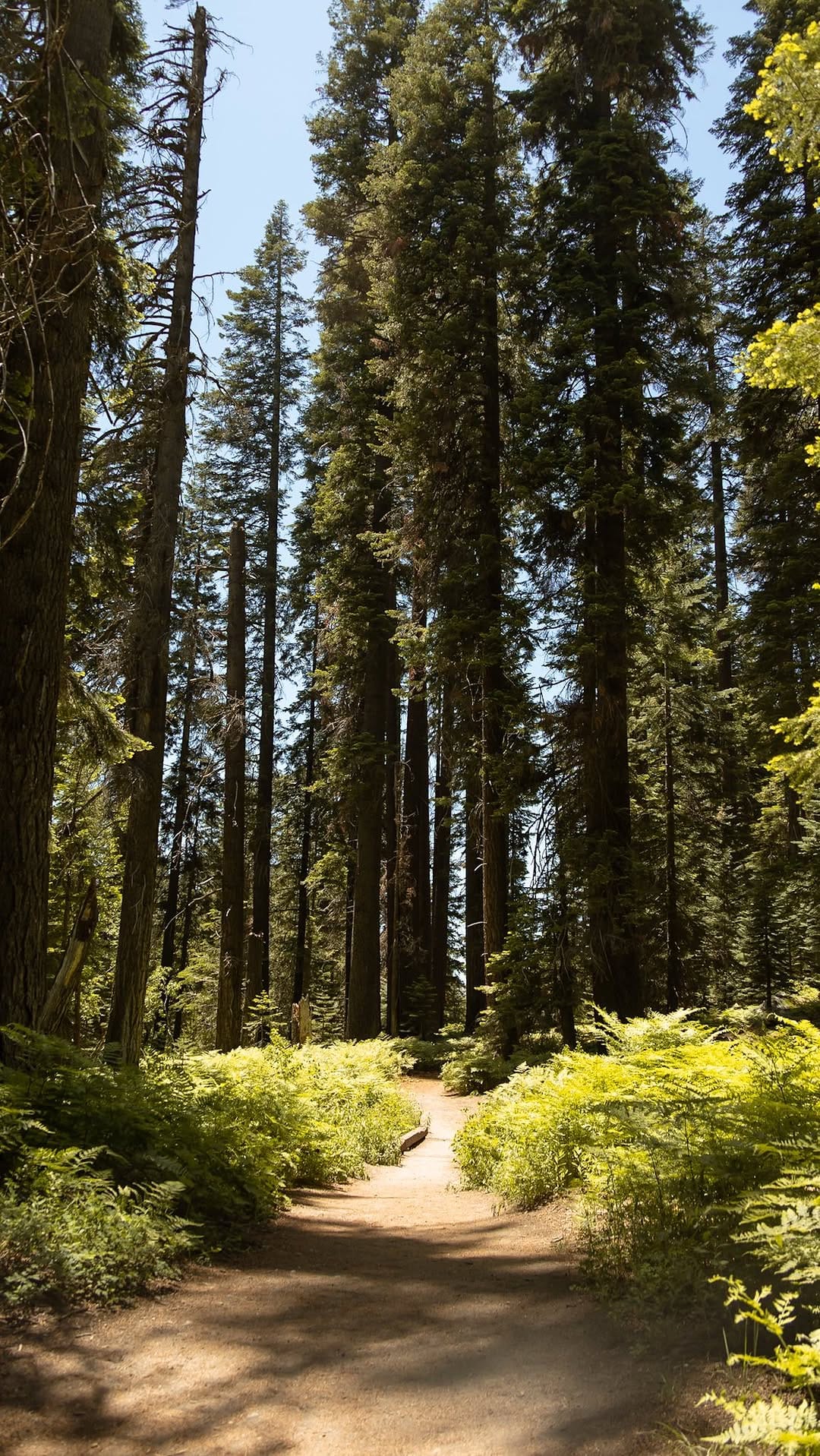 Post 7 by Haley | adventure travel + hiking on Instagram (video)