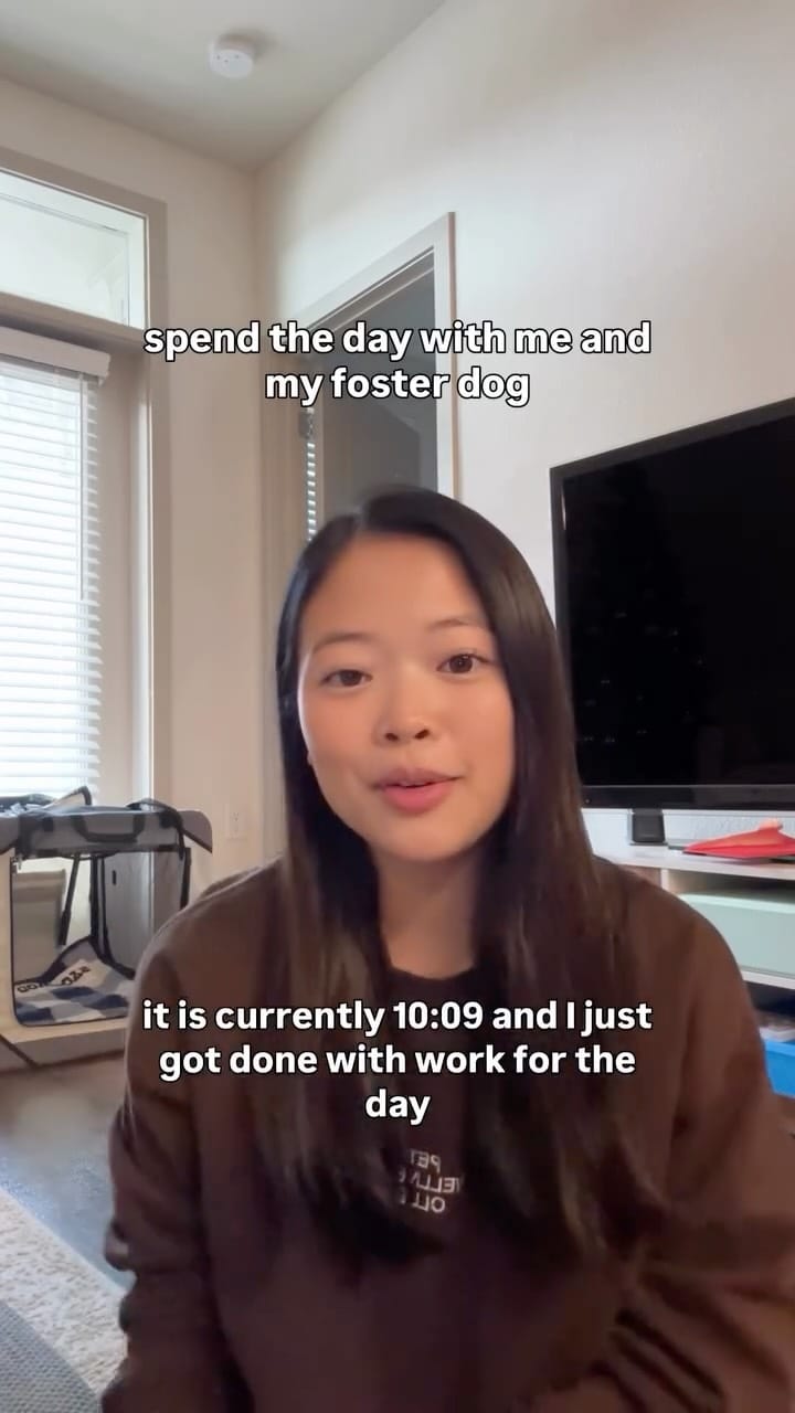 Post 2 by Christine Park & Ollie🐶 on Instagram (video)