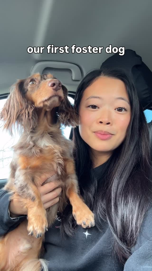 Post 4 by Christine Park & Ollie🐶 on Instagram (video)