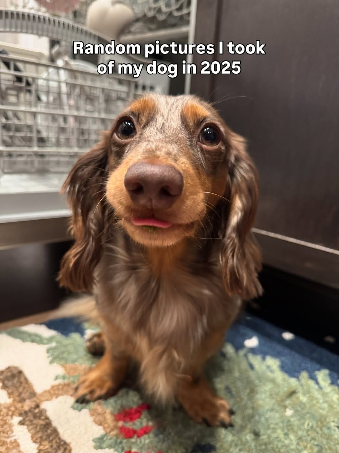 Post 5 by Christine Park & Ollie🐶 on Instagram (carousel)