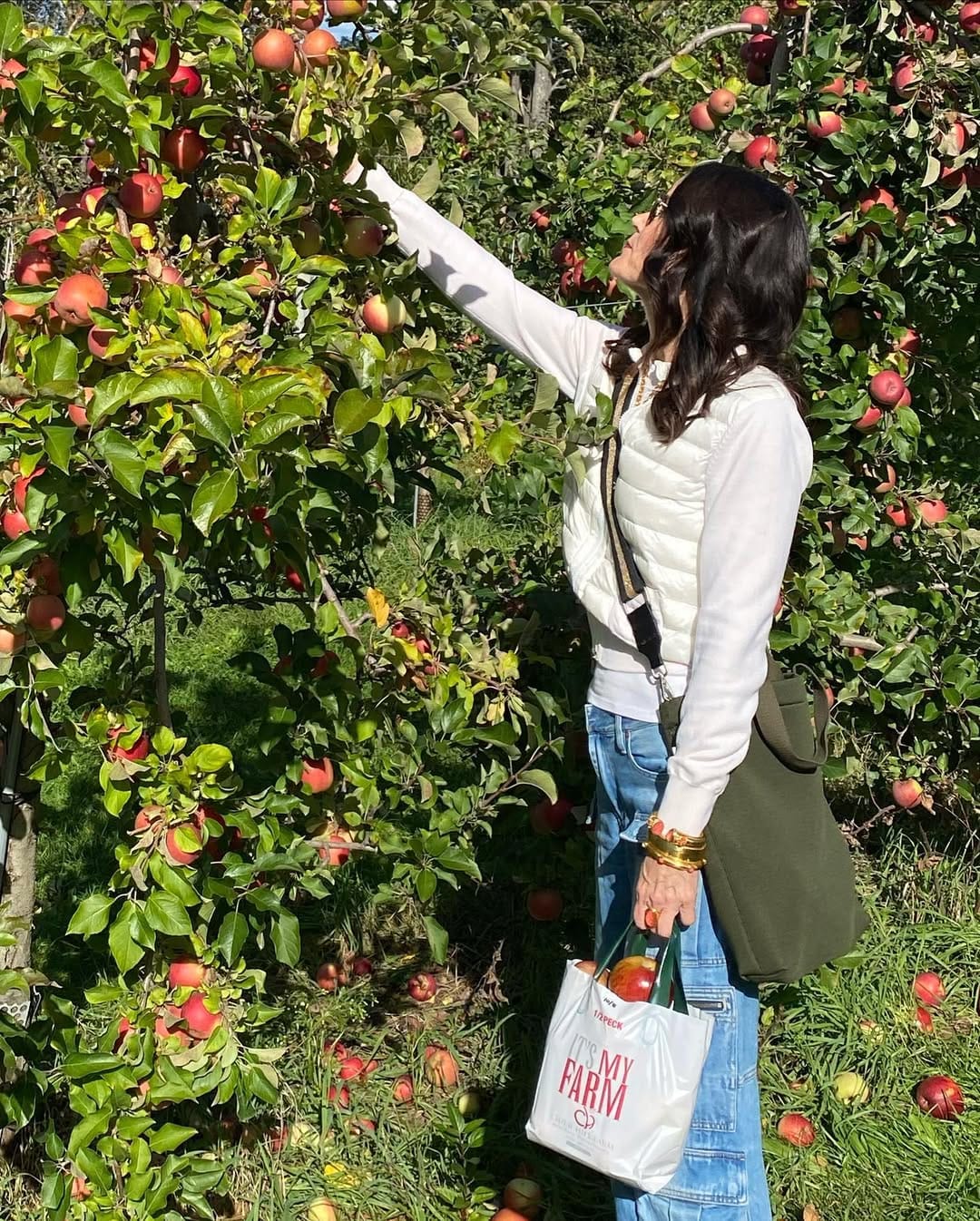 Post 9 by Diane ~ Fashion Inspiration on Instagram (carousel)