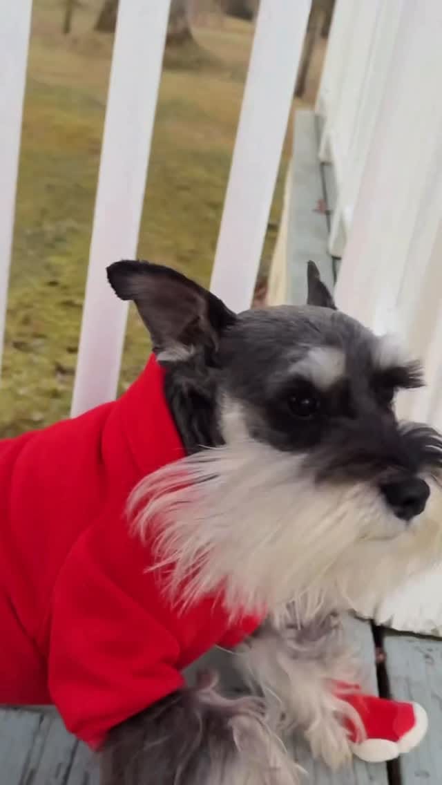 Post 3 by Goby on Instagram (video)